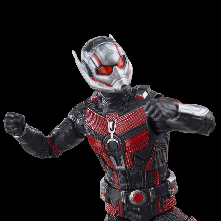 Ant-Man (Ant-Man & The Wasp: Quantumania) Marvel Legends 6" Action Figure