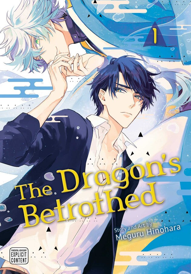 The Dragon's Betrothed Vol. 1