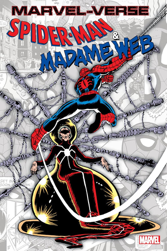 Marvel-Verse: Spider-Man & Madame Web