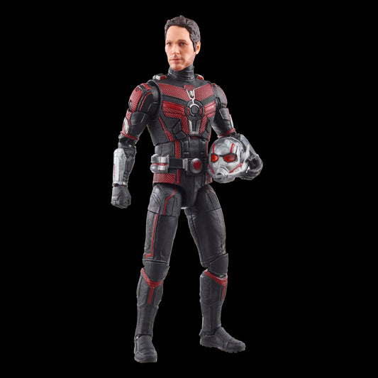 Ant-Man (Ant-Man & The Wasp: Quantumania) Marvel Legends 6" Action Figure