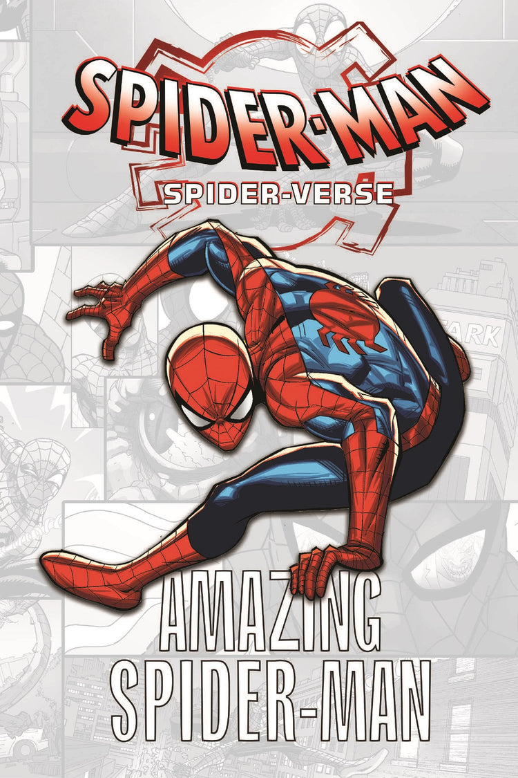 Spider-Man: Spider-Verse - Amazing Spider-Man
